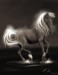 Horse___by_aralinwen.jpg