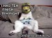 Funny_Cat_Halo3_by_Eeveeisgerman.jpg