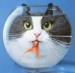 Funny_cat_in_fishbowl_by_UrbanHawk.jpg